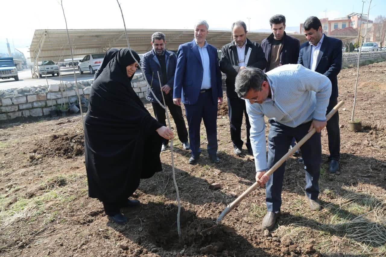 از کاشت ۶۹ درخت سرو به نیت حضرت زینب (س) تا آشتی با طبیعت با شعار «هم‌عهدی سبز»