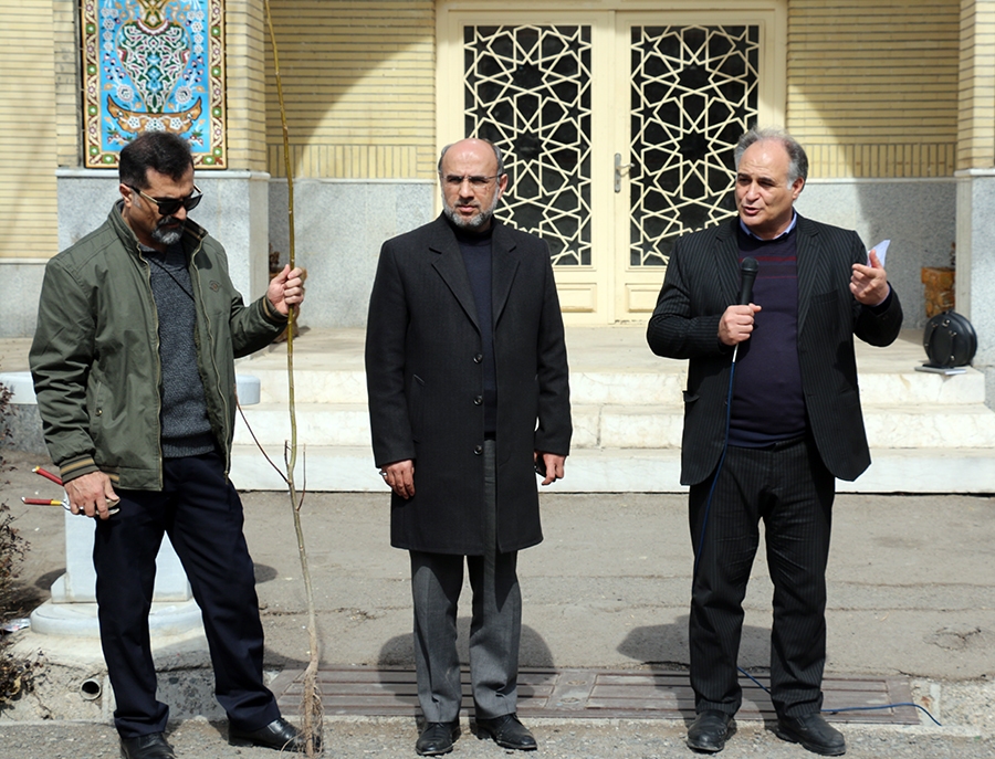 از کاشت ۶۹ درخت سرو به نیت حضرت زینب (س) تا آشتی با طبیعت با شعار «هم‌عهدی سبز»