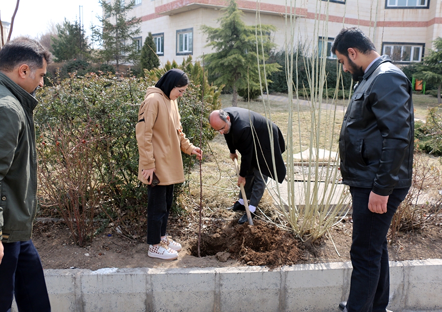 از کاشت ۶۹ درخت سرو به نیت حضرت زینب (س) تا آشتی با طبیعت با شعار «هم‌عهدی سبز»