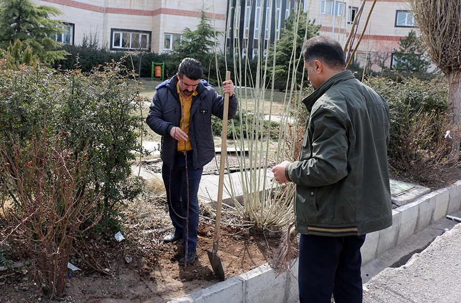 از کاشت ۶۹ درخت سرو به نیت حضرت زینب (س) تا آشتی با طبیعت با شعار «هم‌عهدی سبز»