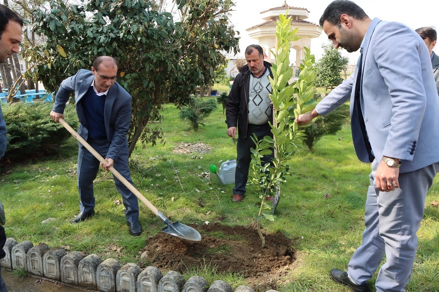 از کاشت ۶۹ درخت سرو به نیت حضرت زینب (س) تا آشتی با طبیعت با شعار «هم‌عهدی سبز»