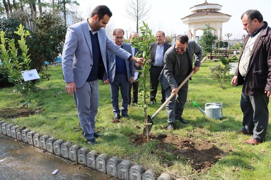 از کاشت ۶۹ درخت سرو به نیت حضرت زینب (س) تا آشتی با طبیعت با شعار «هم‌عهدی سبز»
