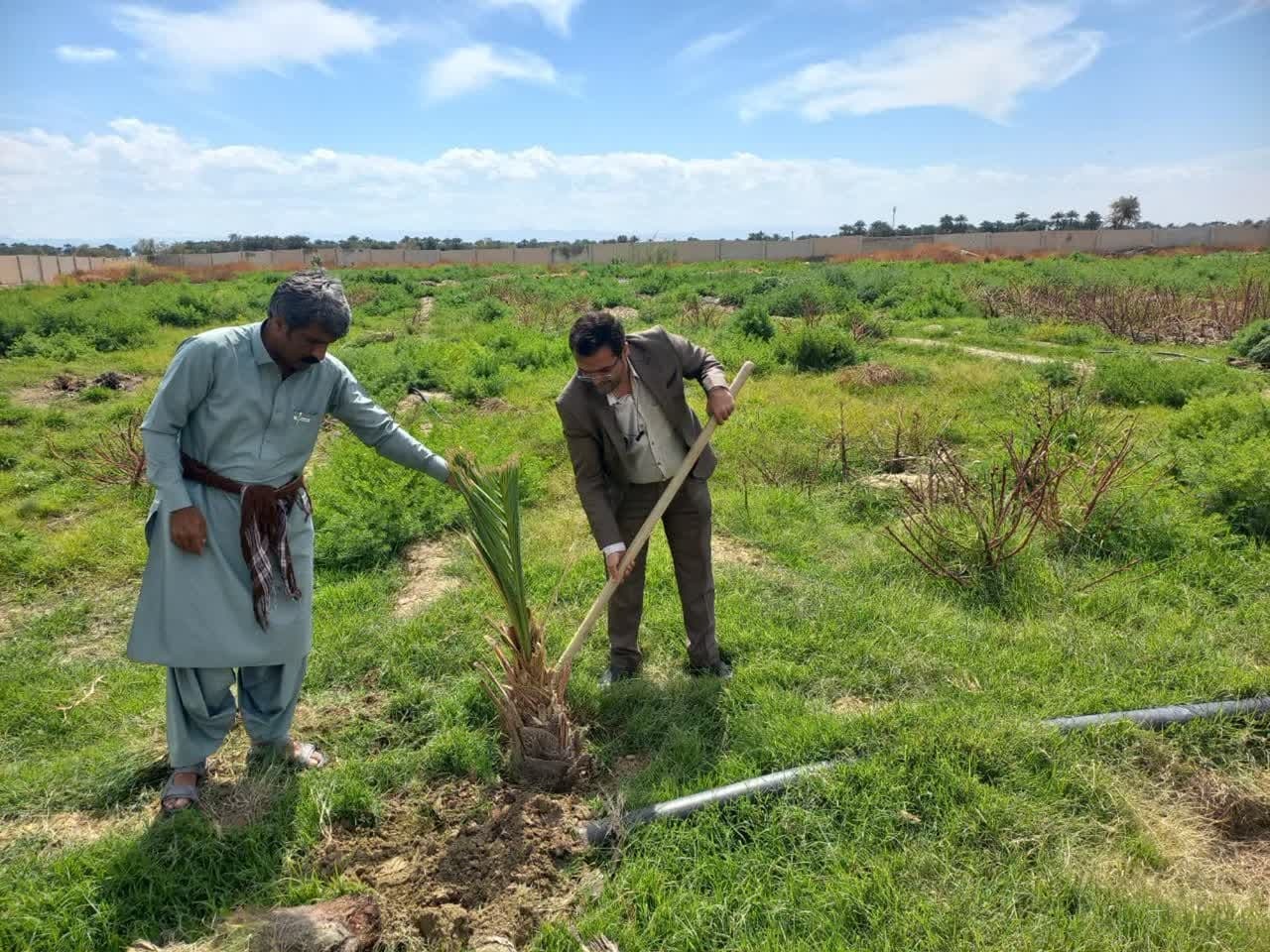 از کاشت ۶۹ درخت سرو به نیت حضرت زینب (س) تا آشتی با طبیعت با شعار «هم‌عهدی سبز»