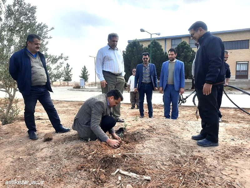 از کاشت ۶۹ درخت سرو به نیت حضرت زینب (س) تا آشتی با طبیعت با شعار «هم‌عهدی سبز»