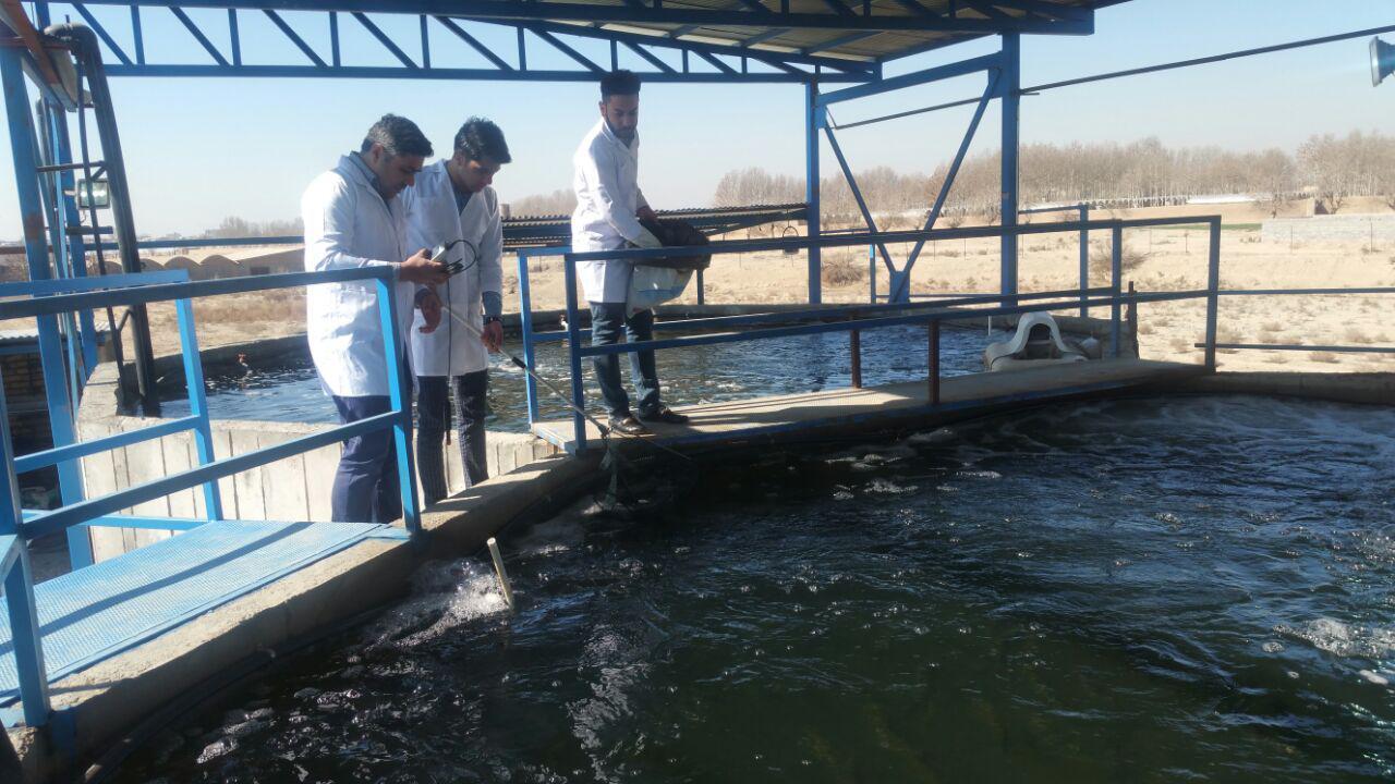 رویداد صدرا در حوزه کشاورزی و صنایع برگزار میشود/ شبکهسازی نخبگان علمی و فنی رویداد صدرا در حوزه کشاورزی و صنایع برگزار میشود/ شبکهسازی نخبگان علمی و فنی