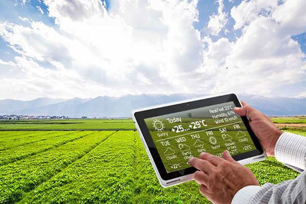 حضور دانش بنیان ها در بخش کشاورزی کم است حضور دانش بنیان ها در بخش کشاورزی کم است