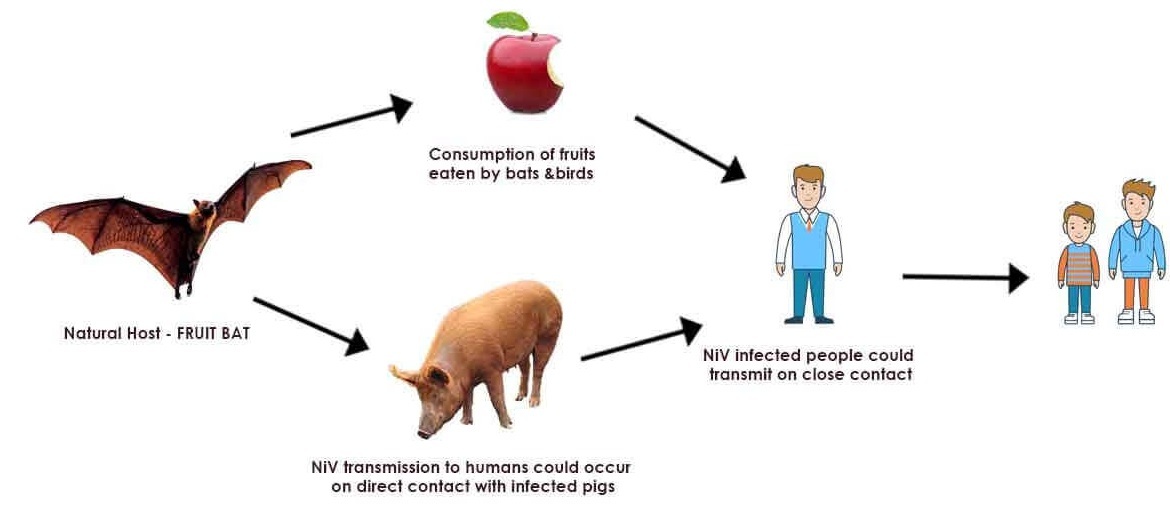 ۲۸ اسفند در دنیای علم چه خبر؟ ۲۸ اسفند در دنیای علم چه خبر؟