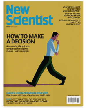 هفته سوم مارس؛ از چگونگی شکل‌گیری تصمیم در مغز تا مواد مذابی که از زمین می‌جوشند