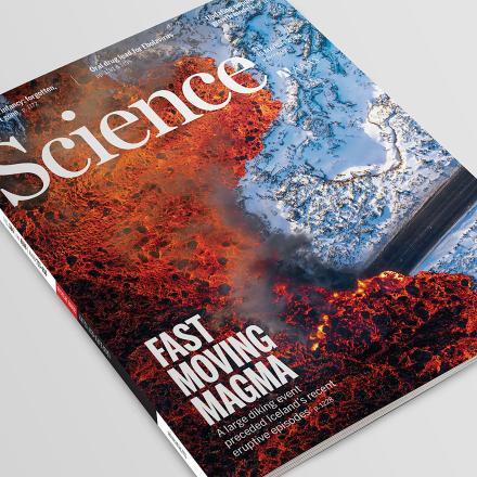 هفته سوم مارس؛ از چگونگی شکل‌گیری تصمیم در مغز تا مواد مذابی که از زمین می‌جوشند