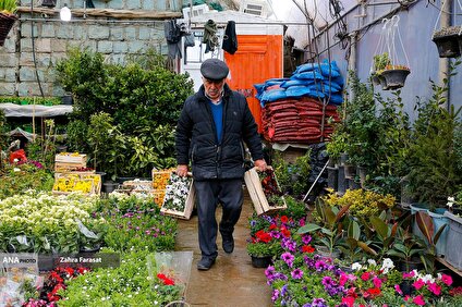 بازار گل در آستانه فرارسیدن بهار
