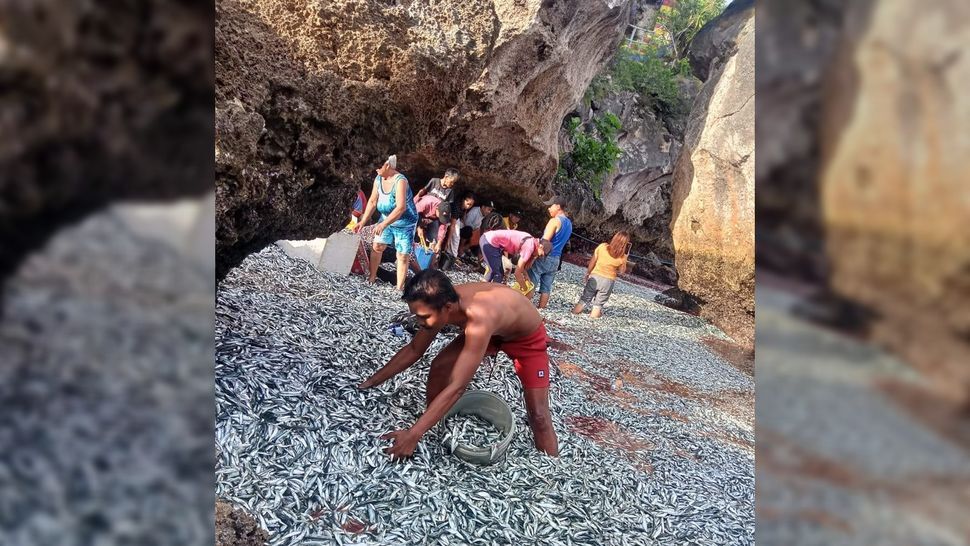 فراچاهش: دلیل حادثۀ عجیب بیرون پریدن ماهی‌ها از آب