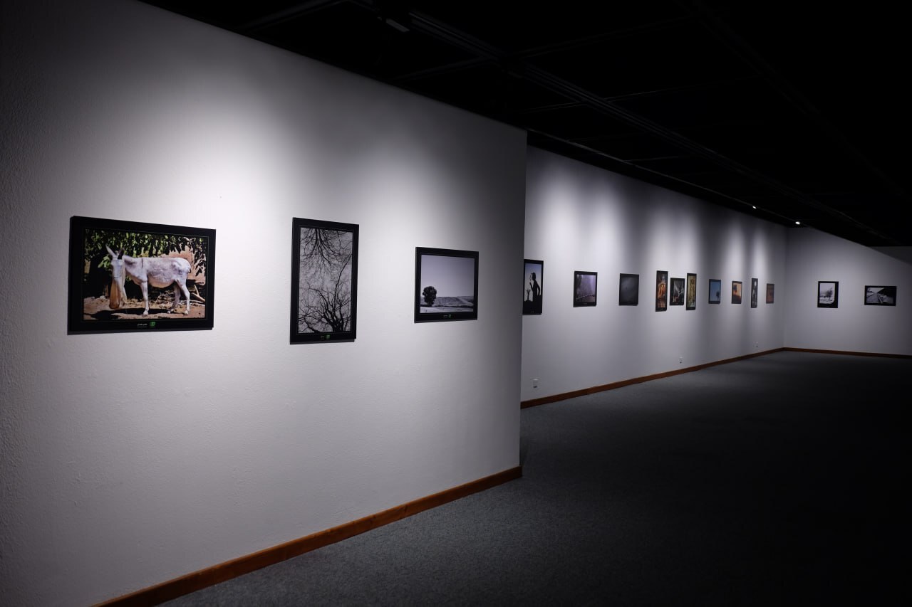 پنجمین هفته فیلم و عکس استان تهران افتتاح شد پنجمین هفته فیلم و عکس استان تهران افتتاح شد