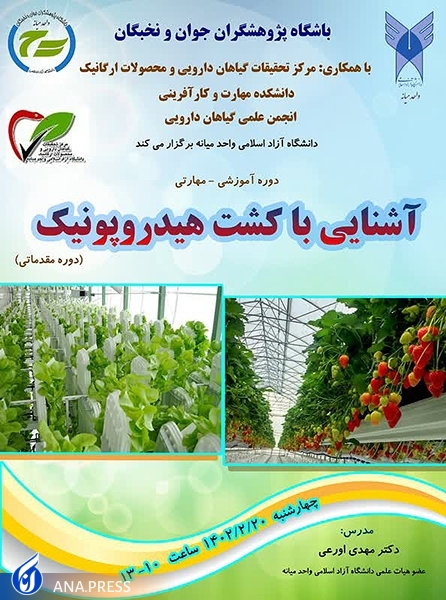 سیستم هیدروپونیک راهحل ایدهآل برای افرادی است که امکان باغبانی ندارند سیستم هیدروپونیک راهحل ایدهآل برای افرادی است که امکان باغبانی ندارند