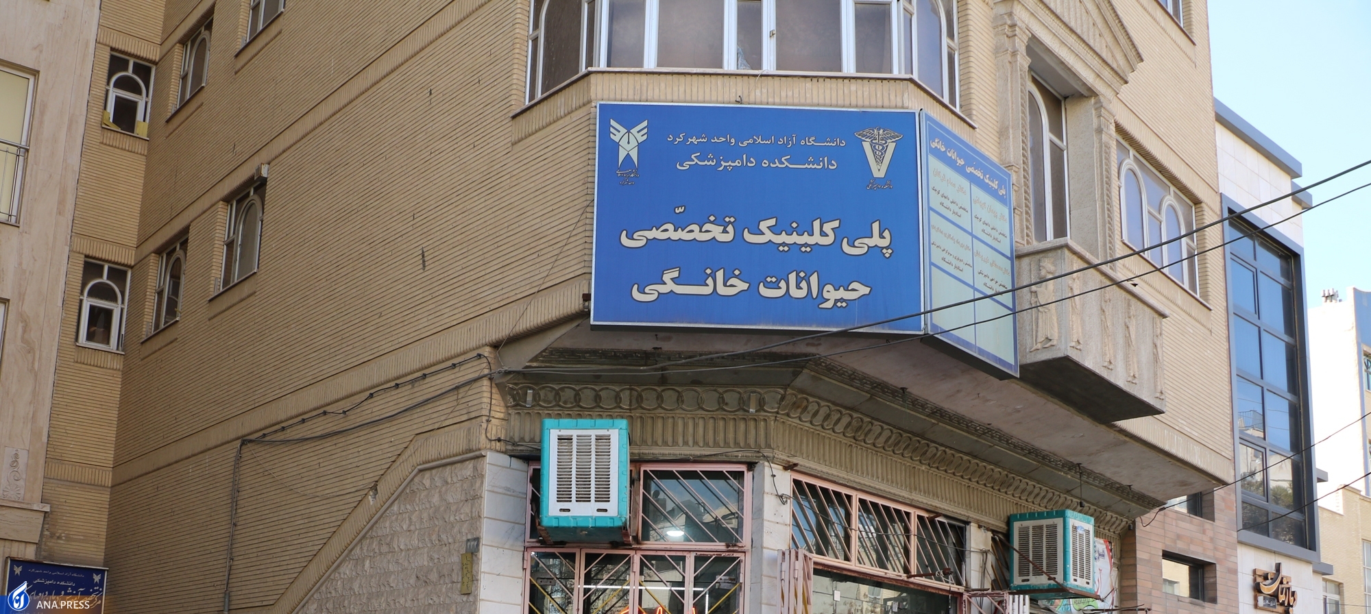 پلیکلینیک تخصصی دامهای کوچک پذیرای دانشجویان دکتری حرفهای دامپزشکی پلیکلینیک تخصصی دامهای کوچک پذیرای دانشجویان دکتری حرفهای دامپزشکی