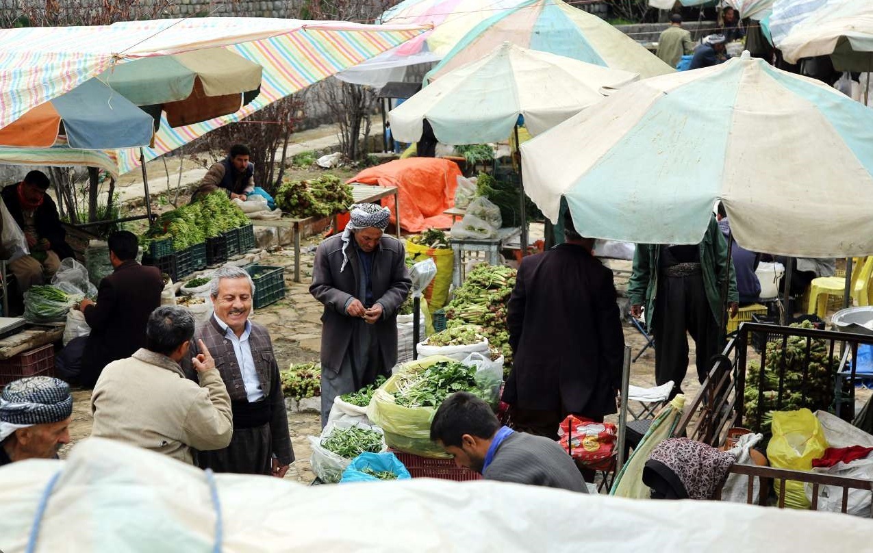 سودجویان به تاراج گیاهان دشتی ایران مشغولند سودجویان به تاراج گیاهان دشتی ایران مشغولند