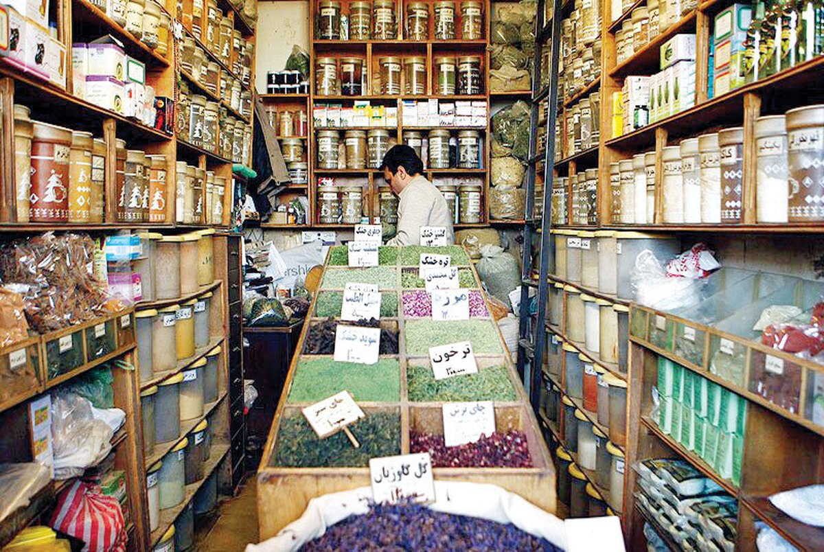 سودجویان به تاراج گیاهان دشتی ایران مشغولند سودجویان به تاراج گیاهان دشتی ایران مشغولند