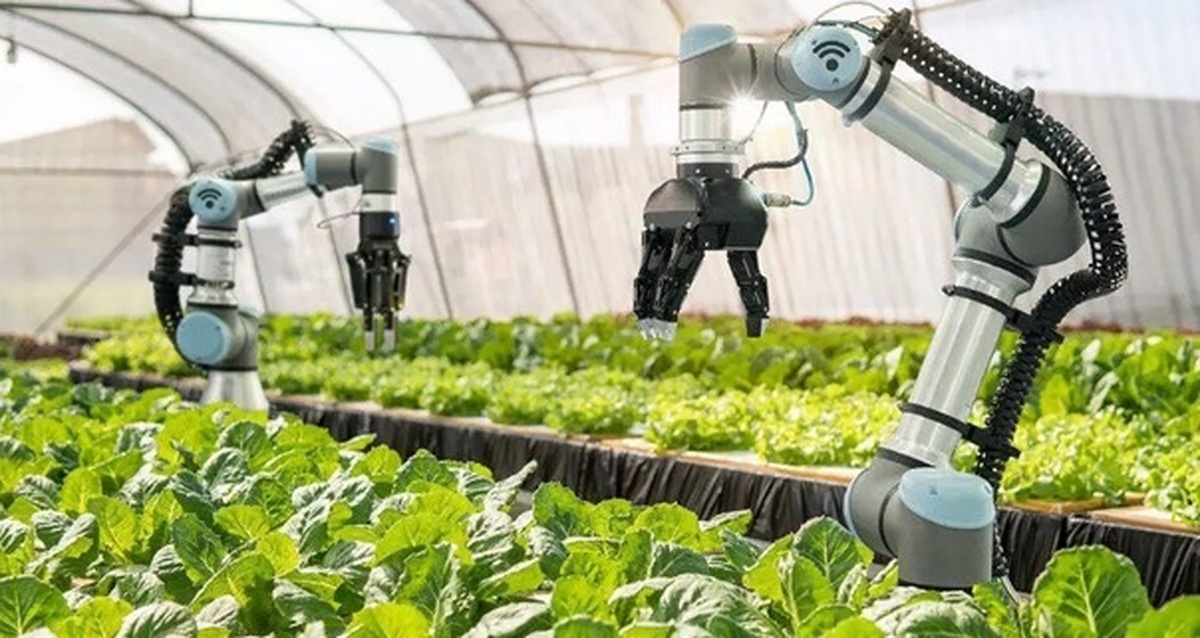 ربات کشاورز طراحی شد  مؤثر در کاهش مصرف آب و افزایش کیفیت محصول