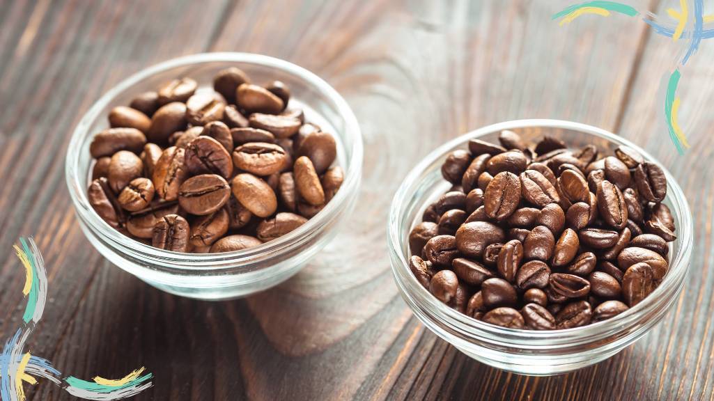 تفاوتهای قهوه عربیکا و روبوستا چیست؟ تفاوتهای قهوه عربیکا و روبوستا چیست؟