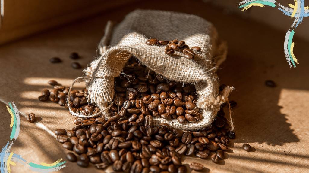 تفاوتهای قهوه عربیکا و روبوستا چیست؟ تفاوتهای قهوه عربیکا و روبوستا چیست؟