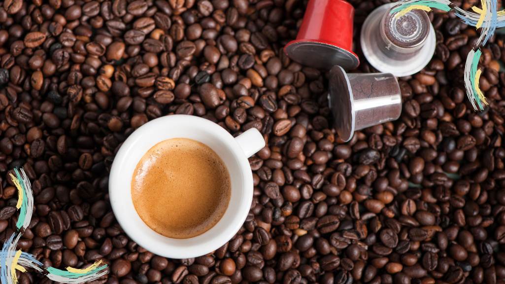 تفاوتهای قهوه عربیکا و روبوستا چیست؟ تفاوتهای قهوه عربیکا و روبوستا چیست؟