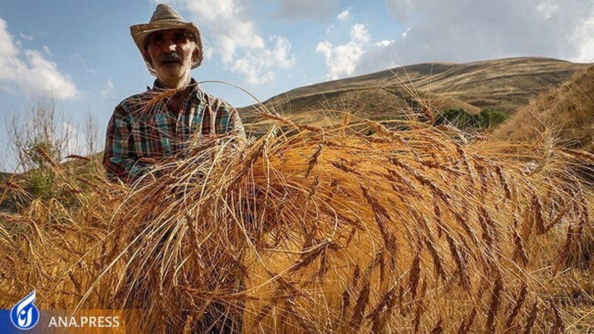 اعلام دومین فهرست منتخبین و اولویت‌دهی تخصیص ارز کالاهای کشاورزی