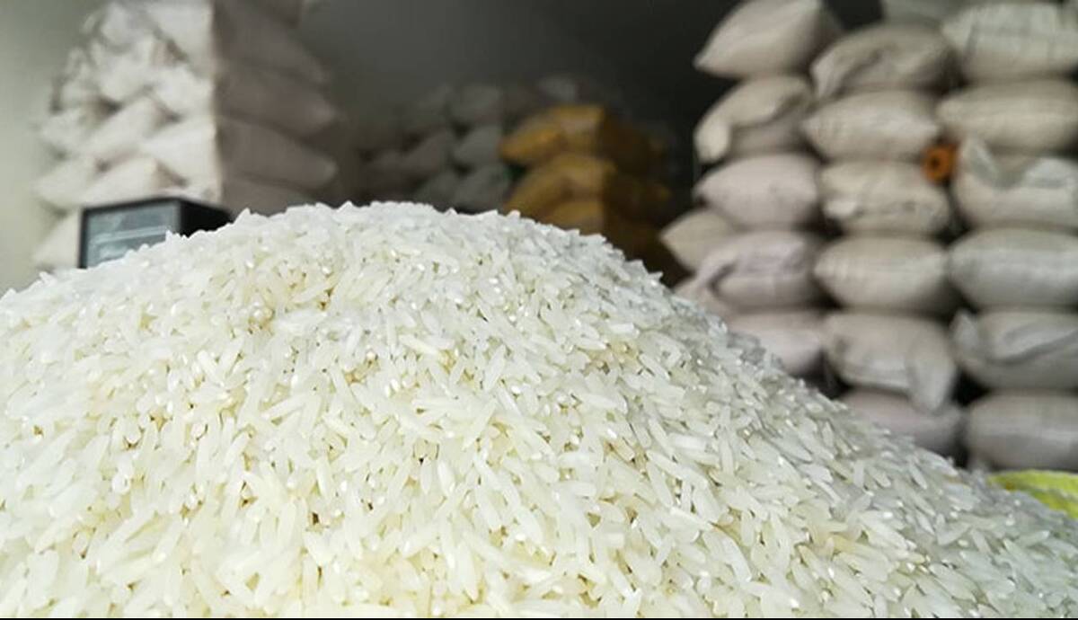 واردات برنج به نصف رسید