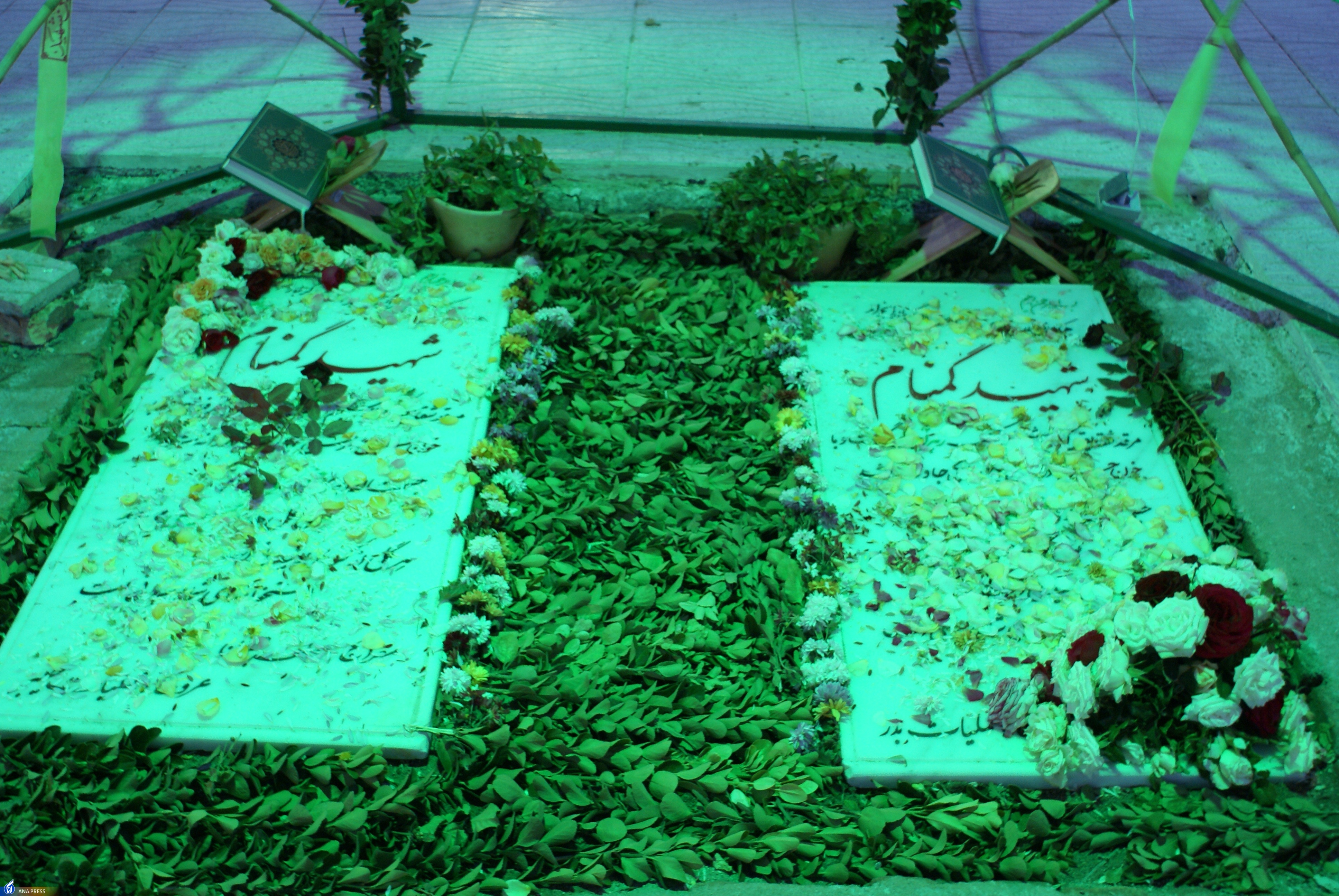 تولد بیست و یک سالگی دانشگاه آزاد اسلامی مهریز با سال‌ها بالندگی علمی