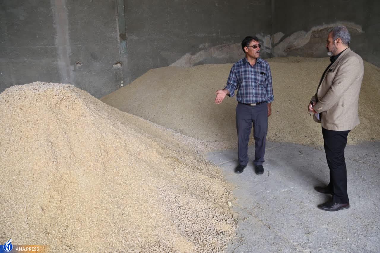 دامپروری و کشاورزی دانشگاه آزاد اسلامی واحد کرمانشاه