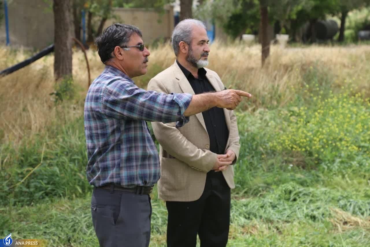 دامپروری و کشاورزی دانشگاه آزاد اسلامی واحد کرمانشاه