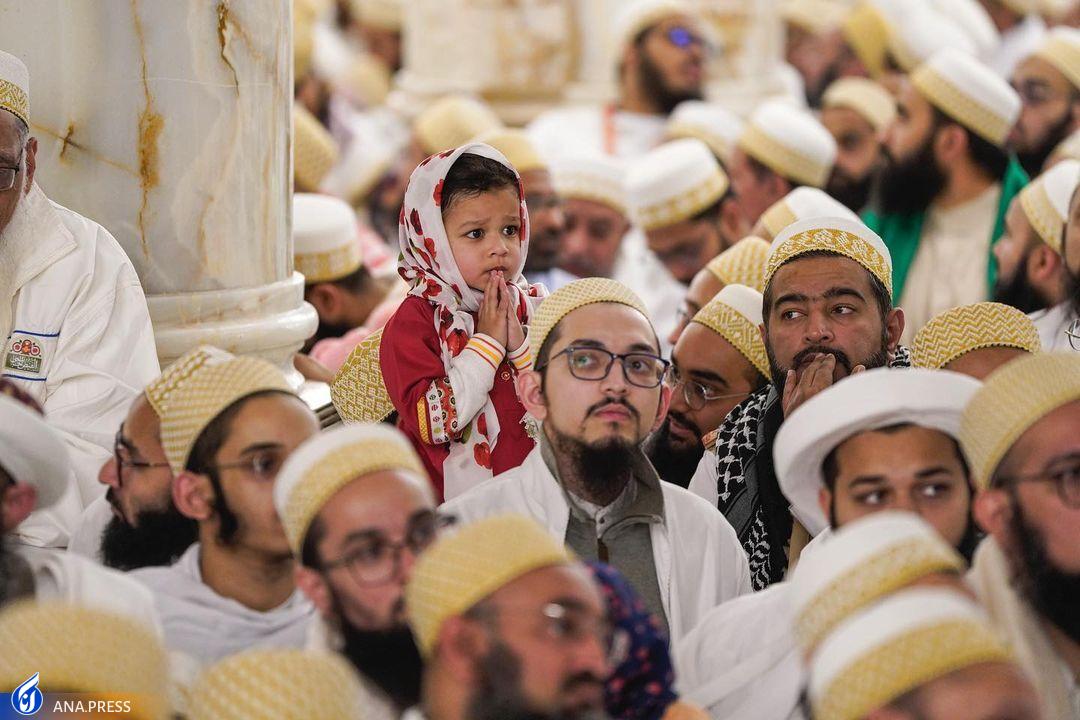 حرم امام علی (ع) در قرق هندی‌ها+ عکس