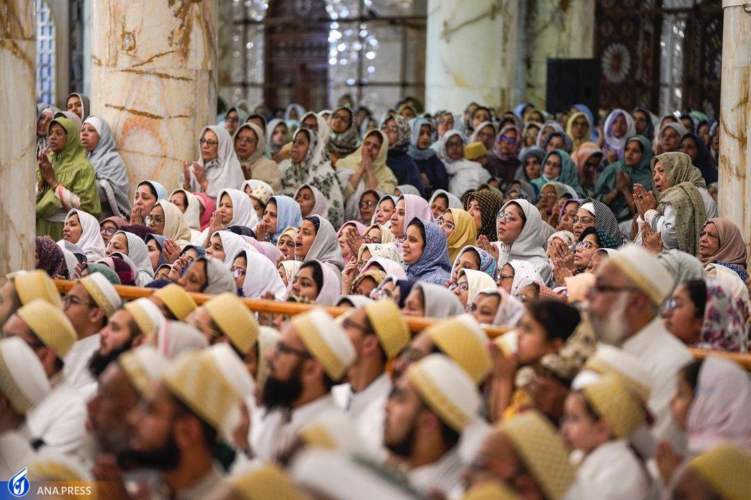 حرم امام علی (ع) در قرق هندیها+ عکس حرم امام علی (ع) در قرق هندیها+ عکس