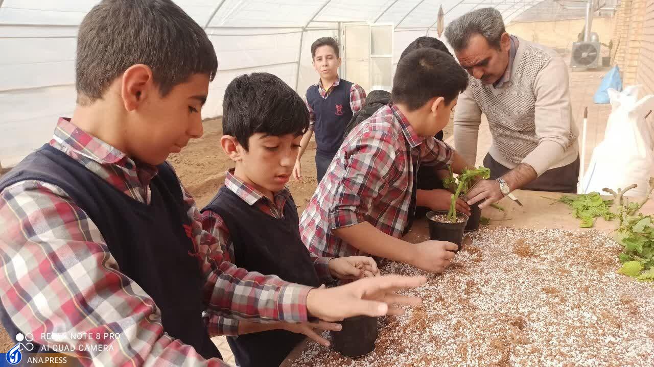 مهارتآموزی دانشآموزان سما به بار نشست مهارتآموزی دانشآموزان سما به بار نشست