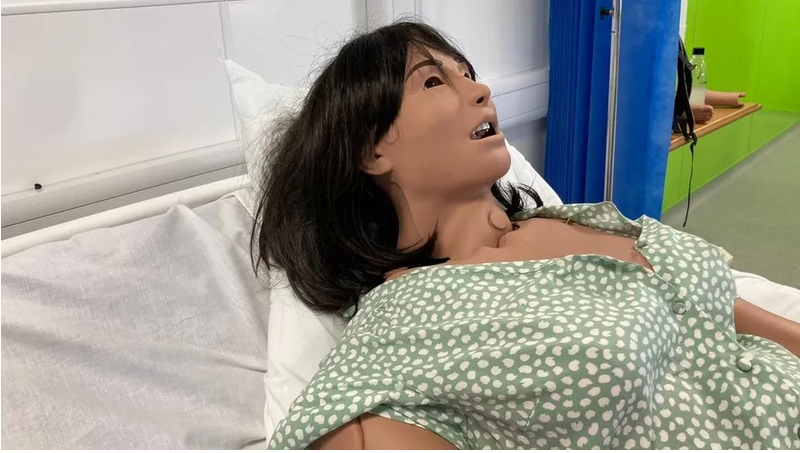 استفاده از مانکنهای شبیهسازیشده برای آموزش مراقبتهای بهداشتی و اجتماعی استفاده از مانکنهای شبیهسازیشده برای آموزش مراقبتهای بهداشتی و اجتماعی