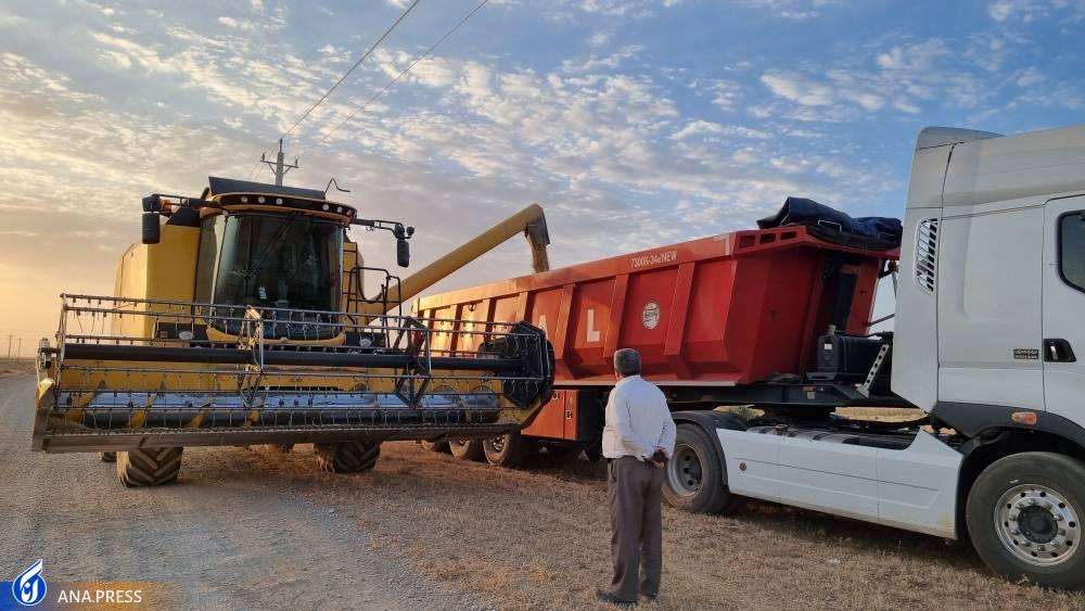 برداشت ۲۹ تن جو از مزرعه تحقیقاتی دانشگاه آزاد اقلید برداشت ۲۹ تن جو از مزرعه تحقیقاتی دانشگاه آزاد اقلید