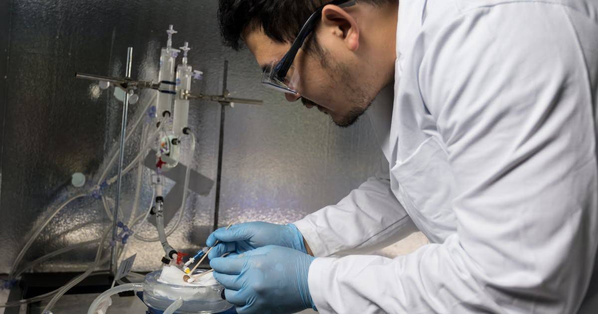 دستاورد جدید محققان برای پیوند عضوی که قبلا منجمد بود دستاورد جدید محققان برای پیوند عضوی که قبلا منجمد بود