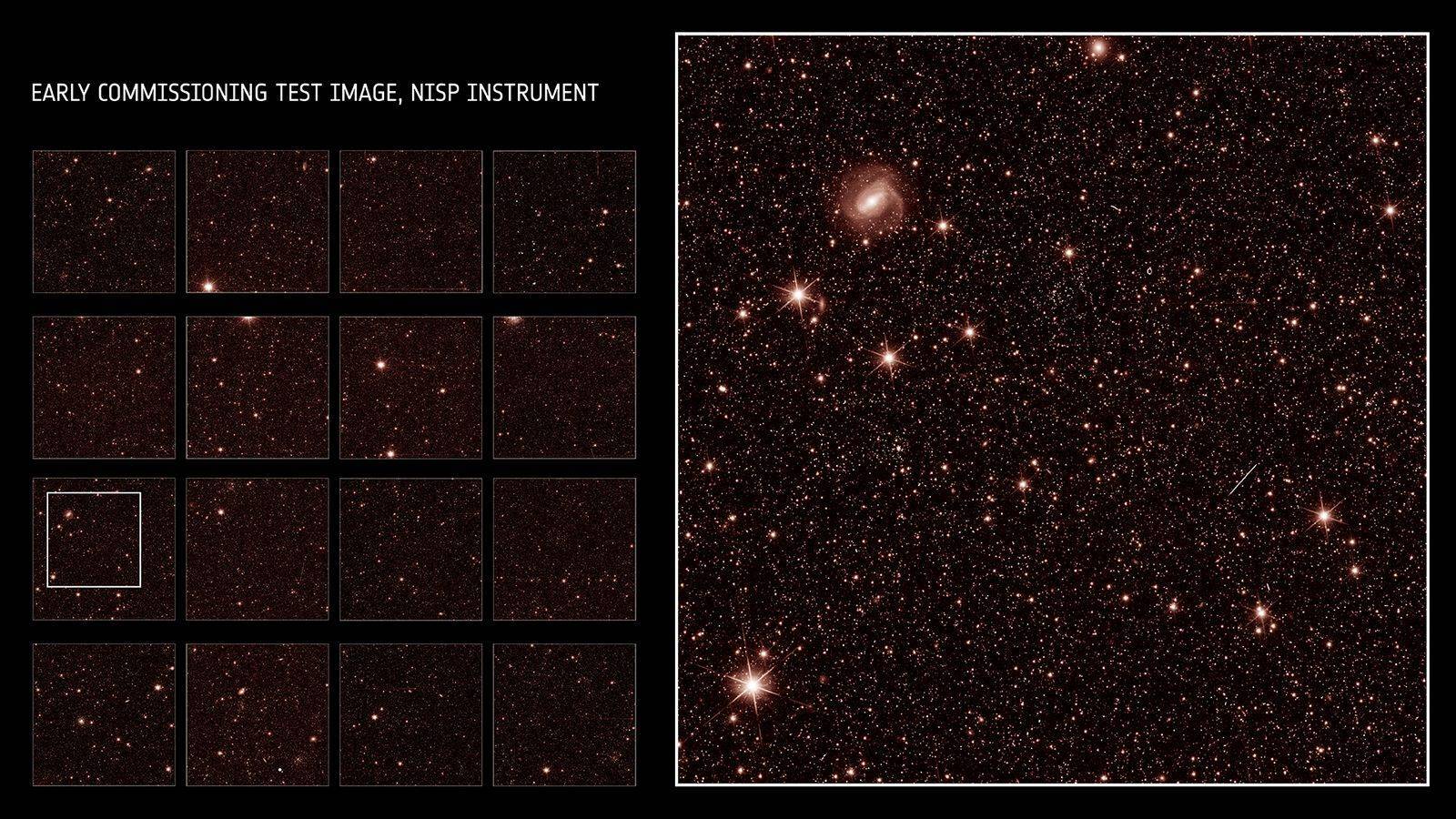 ترجمه ترجمه