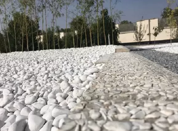 واش بتن: کفپوش منحصربهفرد با طراحیهای زیبا و مقاومت برتر واش بتن: کفپوش منحصربهفرد با طراحیهای زیبا و مقاومت برتر