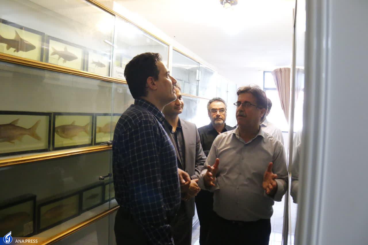 بازدید معاون دانشگاه آزاد از مرکز تحقیقات «علوم شیلاتی و فنون دریایی دکتر کیوان» بازدید معاون دانشگاه آزاد از مرکز تحقیقات «علوم شیلاتی و فنون دریایی دکتر کیوان»