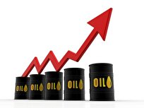 قیمت نفت به مسیر صعودی بازگشت