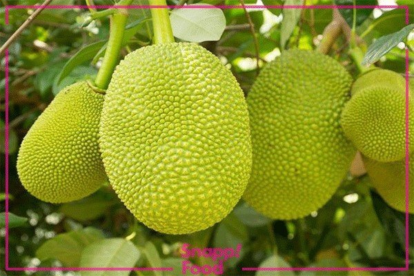 عجیبترین میوهها را به قیمتی استثنایی و آنلاین بخرید! عجیبترین میوهها را به قیمتی استثنایی و آنلاین بخرید!