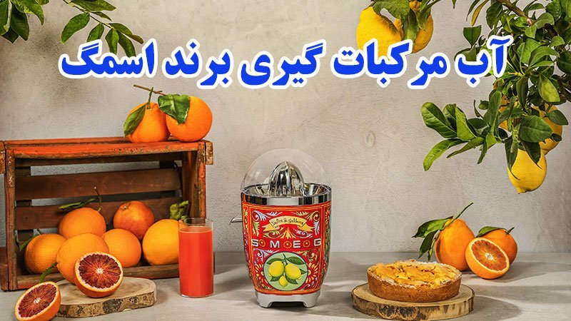 راهنمای خرید انواع آب مرکبات گیری اسمگ راهنمای خرید انواع آب مرکبات گیری اسمگ