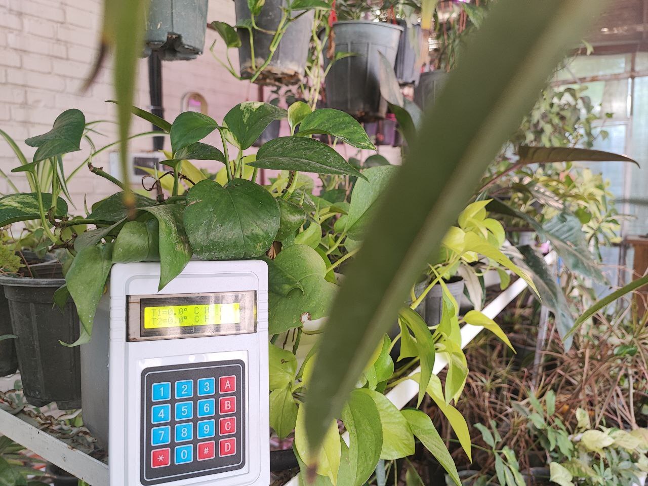 نگهداری بهینه محصولات حساس به دما با «دیتالاگر» نگهداری بهینه محصولات حساس به دما با «دیتالاگر»