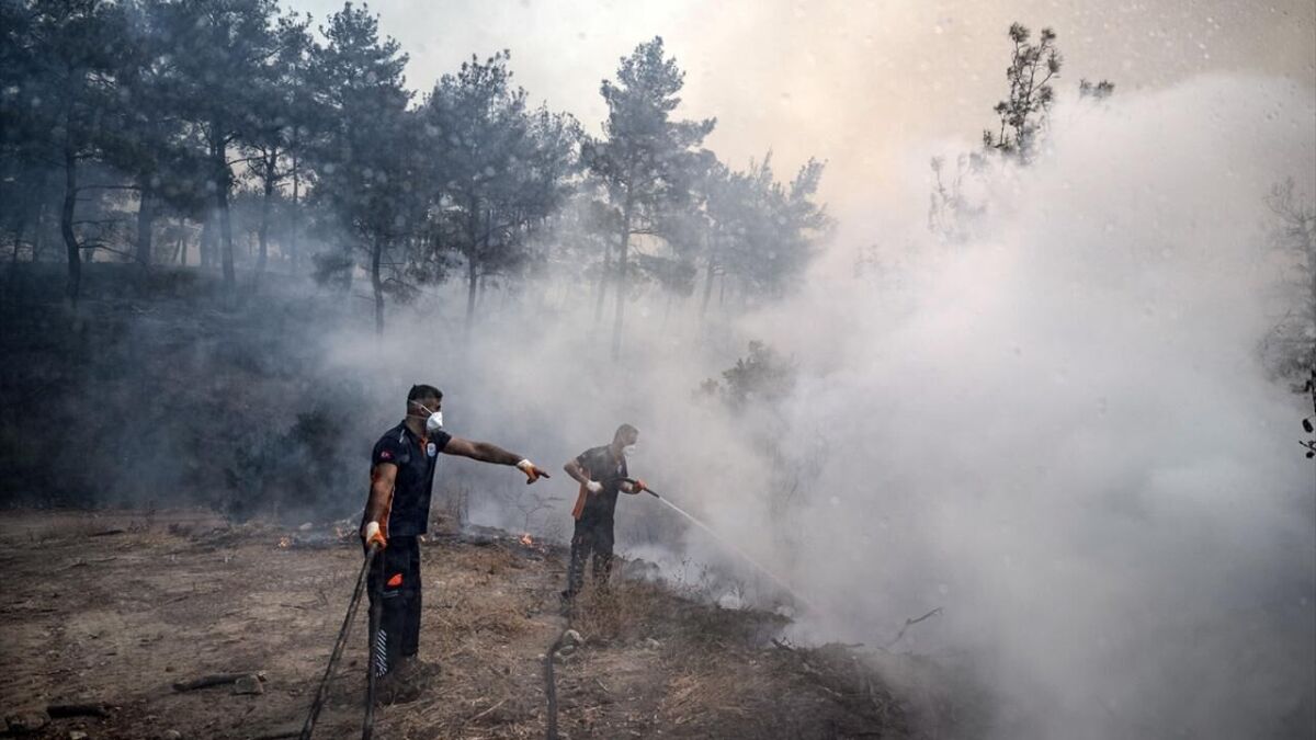 آتش‌سوزی گسترده در غرب ترکیه  ساکنان منطقه تخلیه شدند