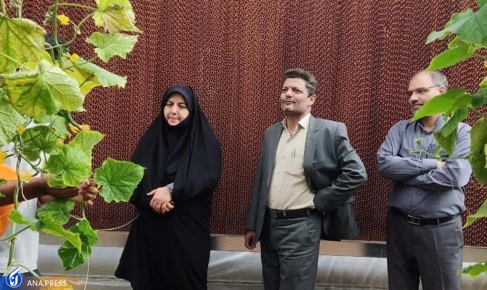 بهرهبرداری کامل از ۴ هکتار فضای گلخانهای طرح ملی بذر دانشگاه آزاد اسلامی بهرهبرداری کامل از ۴ هکتار فضای گلخانهای طرح ملی بذر دانشگاه آزاد اسلامی