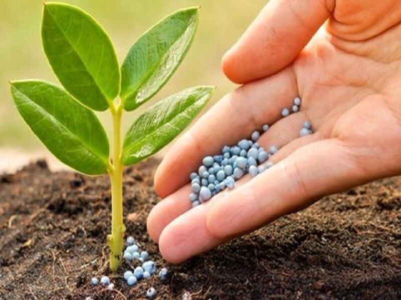 به تولیداتی باکیفیت