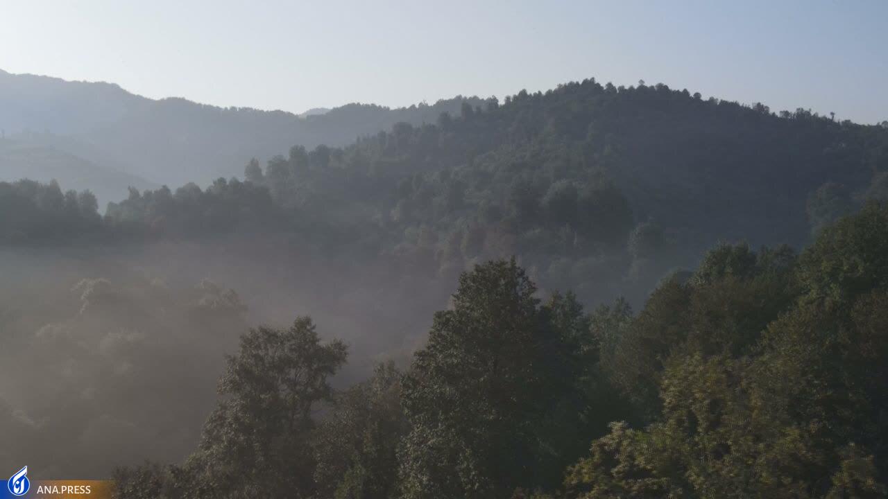 در تولید مستند حیات وحش به دروازههای جهانی رسیدهایم/ عزم «سفر به البرز وحشی» برای درخشش در جشنواره هفدهم حقیقت در تولید مستند حیات وحش به دروازههای جهانی رسیدهایم/ عزم «سفر به البرز وحشی» برای درخشش در جشنواره هفدهم حقیقت