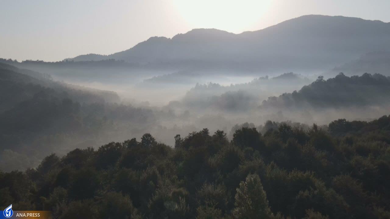 در تولید مستند حیات وحش به دروازههای جهانی رسیدهایم/ عزم «سفر به البرز وحشی» برای درخشش در جشنواره هفدهم حقیقت در تولید مستند حیات وحش به دروازههای جهانی رسیدهایم/ عزم «سفر به البرز وحشی» برای درخشش در جشنواره هفدهم حقیقت