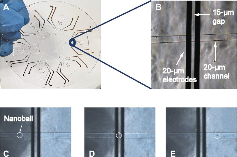 نانوکره های دی ان ای به شناسایی ارزان قیمت پاتوژن ها کمک می کند