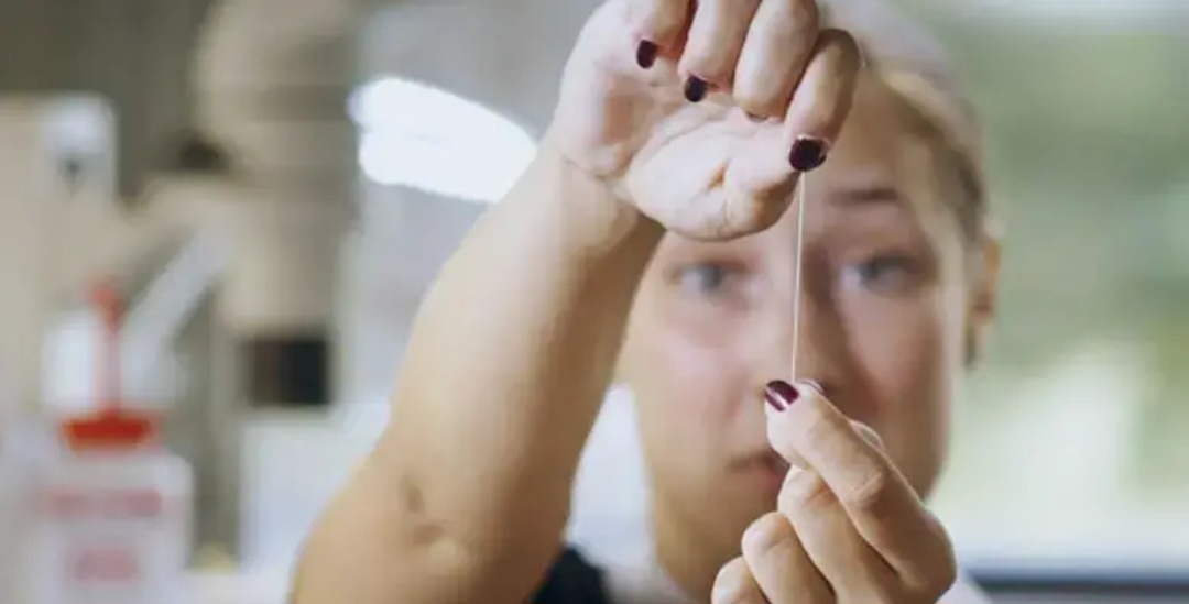 راز استحکام ابریشم عنکبوت فاش شد/ ابریشم های مصنوعی اَبَر قدرتمند در راهند