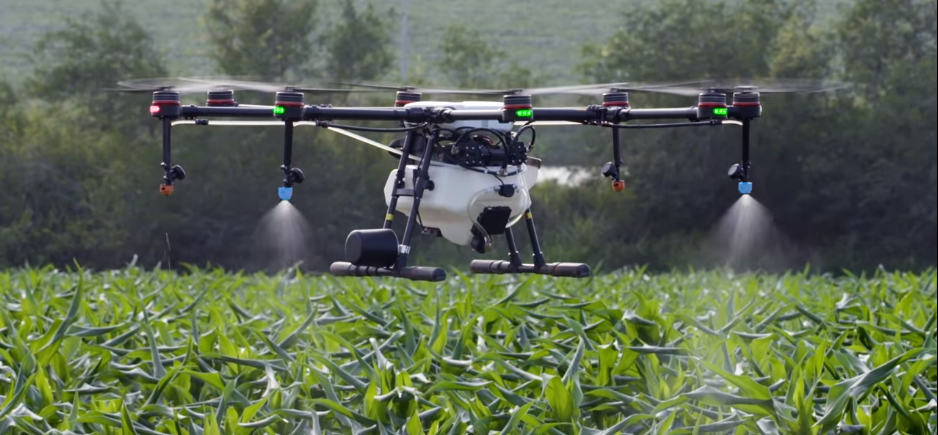 تولیدفناورانه، کشاورزی را تقویت میکند/ تامین امنیت غذایی با بازوان دانش بنیانها /سیاست گذاری ضعیف در تولید فناورانه در بخش کشاورزی تولیدفناورانه